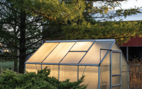 A small greenhouse glowing from the morning sun and surrounded b